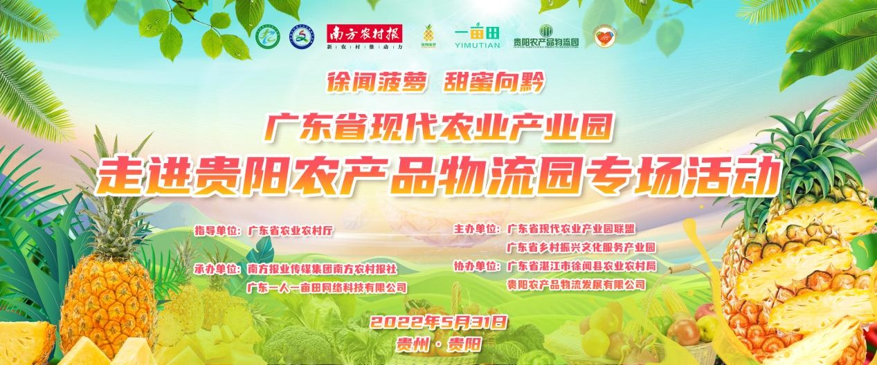  一畝田舉行菠蘿產(chǎn)銷對接大會