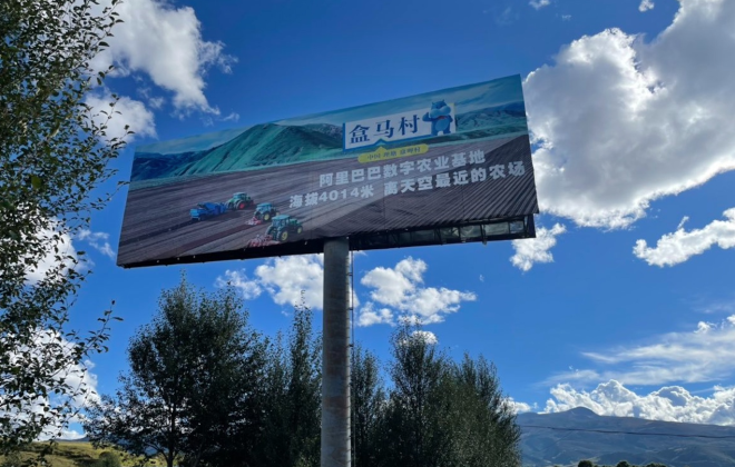 盒馬上市云南普洱市高山甜筍