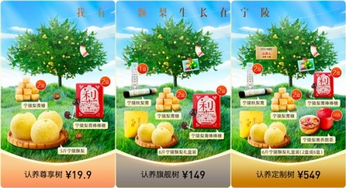 探索鄉(xiāng)村振興新路徑 格家網(wǎng)絡(luò)推出“認(rèn)養(yǎng)一棵梨樹”助農(nóng)活動(dòng)