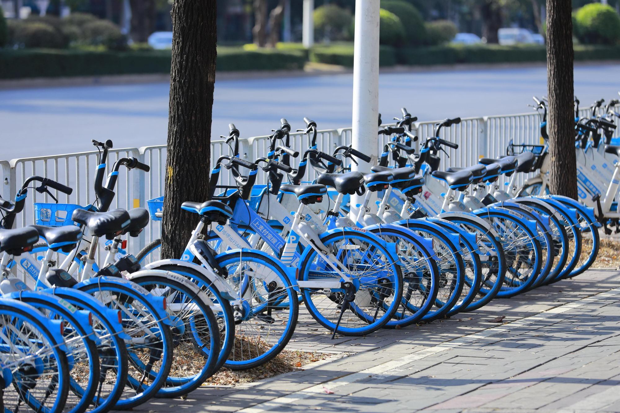 哈啰單車在成都上線文明出行語音包 助力文明城市宣傳