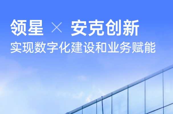 安克創(chuàng)新與領星ERP合作 推進數字化建設
