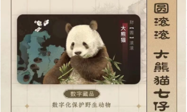 阿里公益發(fā)行24000套秦嶺四寶數(shù)字藏品