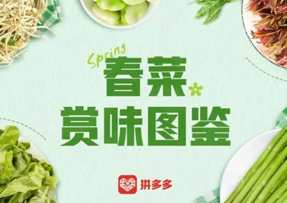 拼多多從山東等多產(chǎn)區(qū)嚴選近30種春菜上市