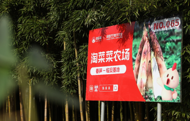 淘菜菜簽約三大生鮮直采基地