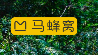 馬蜂窩上線“暑期新蜂向”境外爆品專場大促