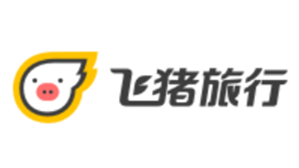 飛豬：春運(yùn)首日火車票預(yù)訂量同比增長164%