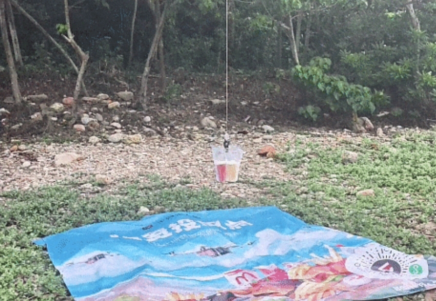 深圳東西涌景區(qū)豐翼無人機索降投送服務(wù)正式上線